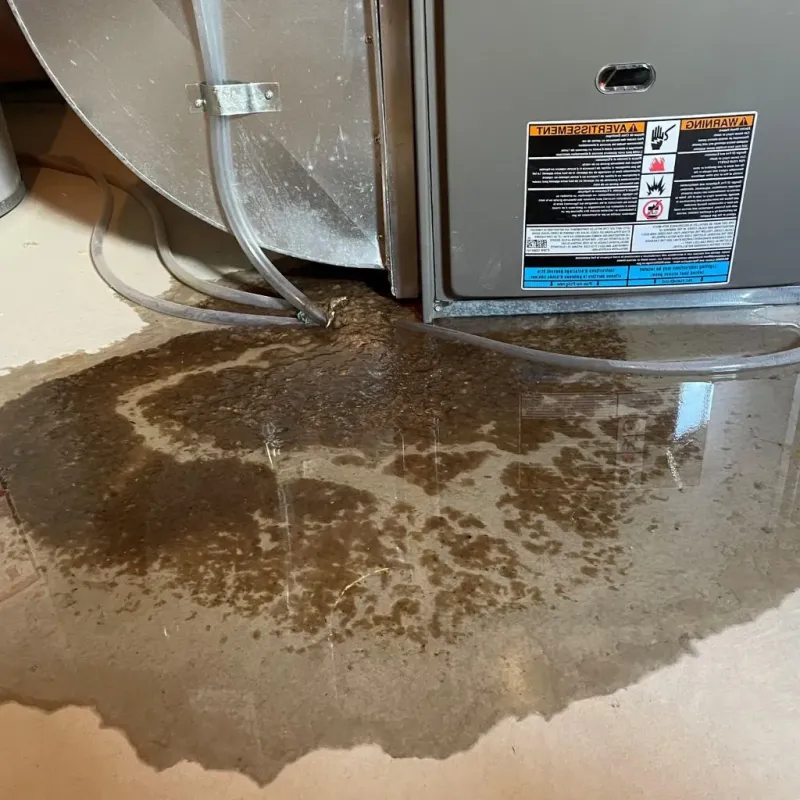 Pipe Burst and Leak Restoration in Jobos, PR