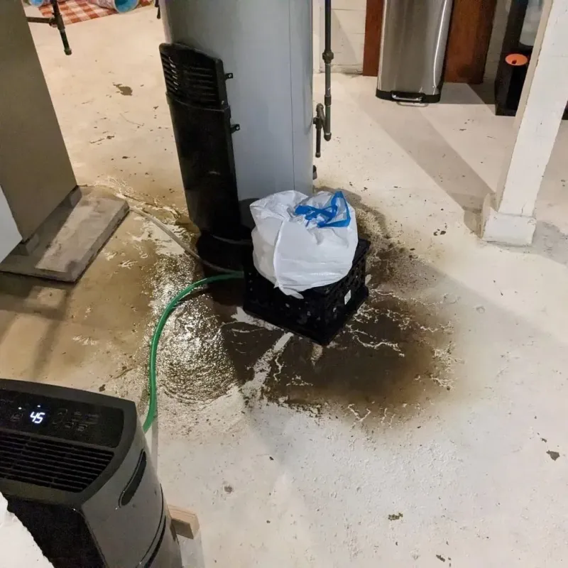 Sewage Backup Cleanup Service in Jobos, PR